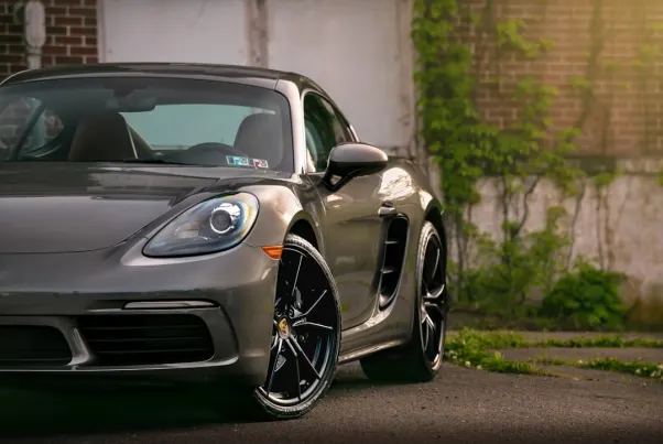 Casino Spin Pug Android/iOS rakendus